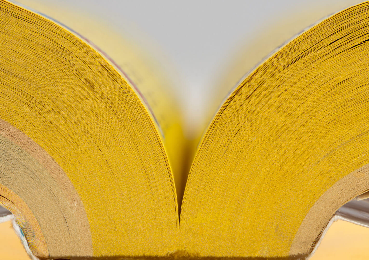 Yellow Pages vs White Pages